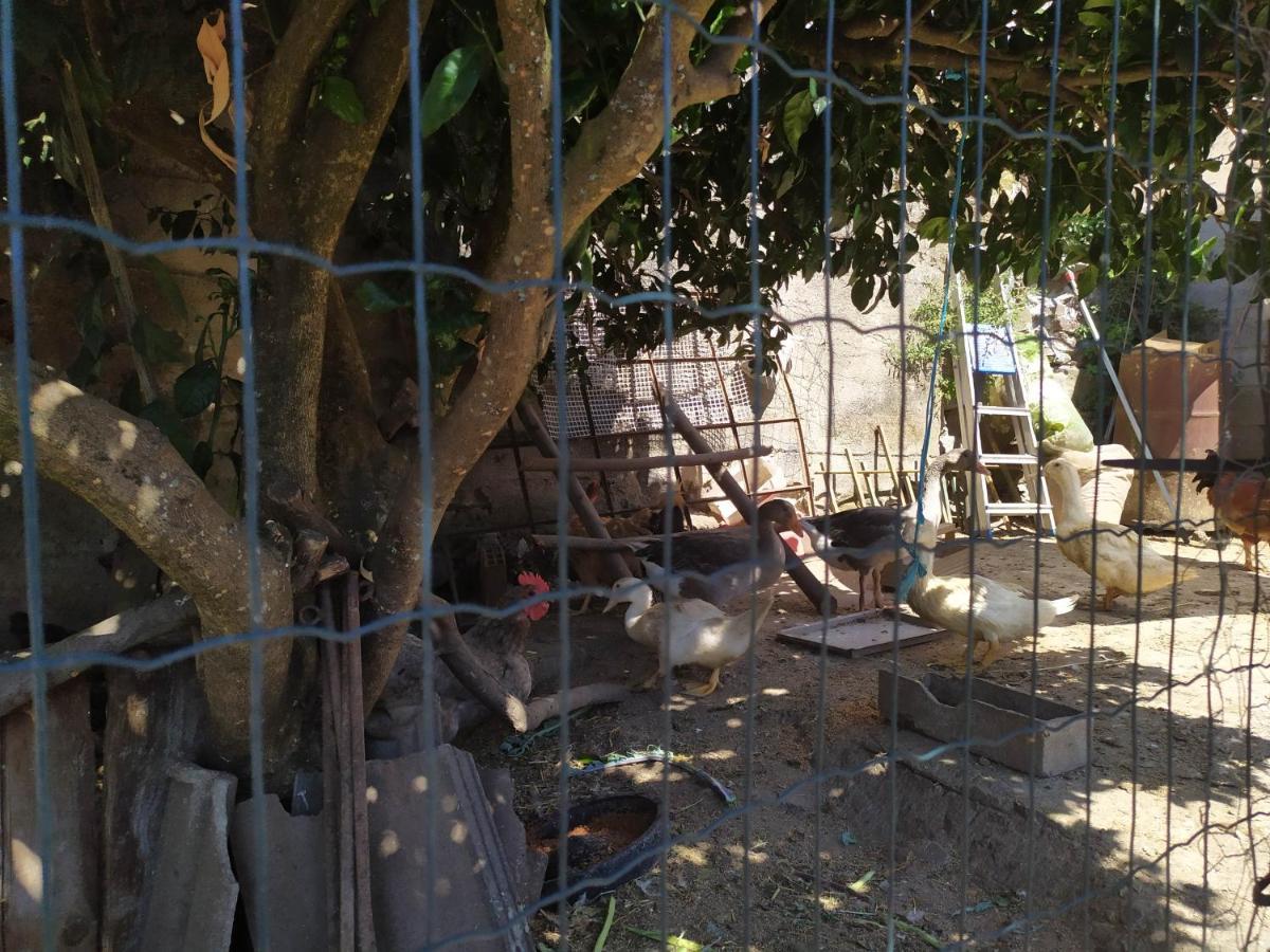 Casa Da Rota Dos Moinhos Daire Lousã Dış mekan fotoğraf